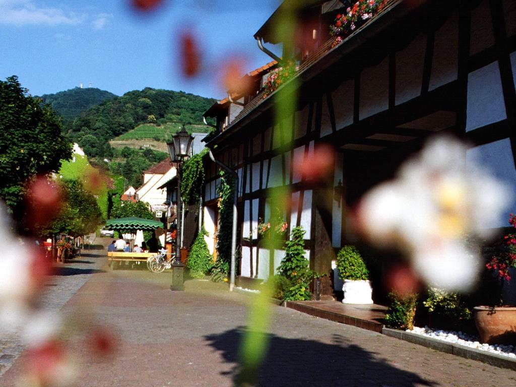Hotel Garni Zur Bergstrasse Zwingenberg  Dış mekan fotoğraf
